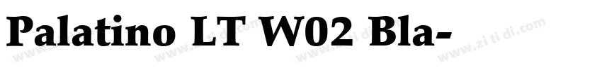 Palatino LT W02 Bla字体转换